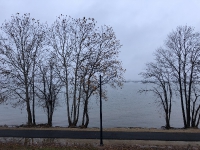 Nature (212)